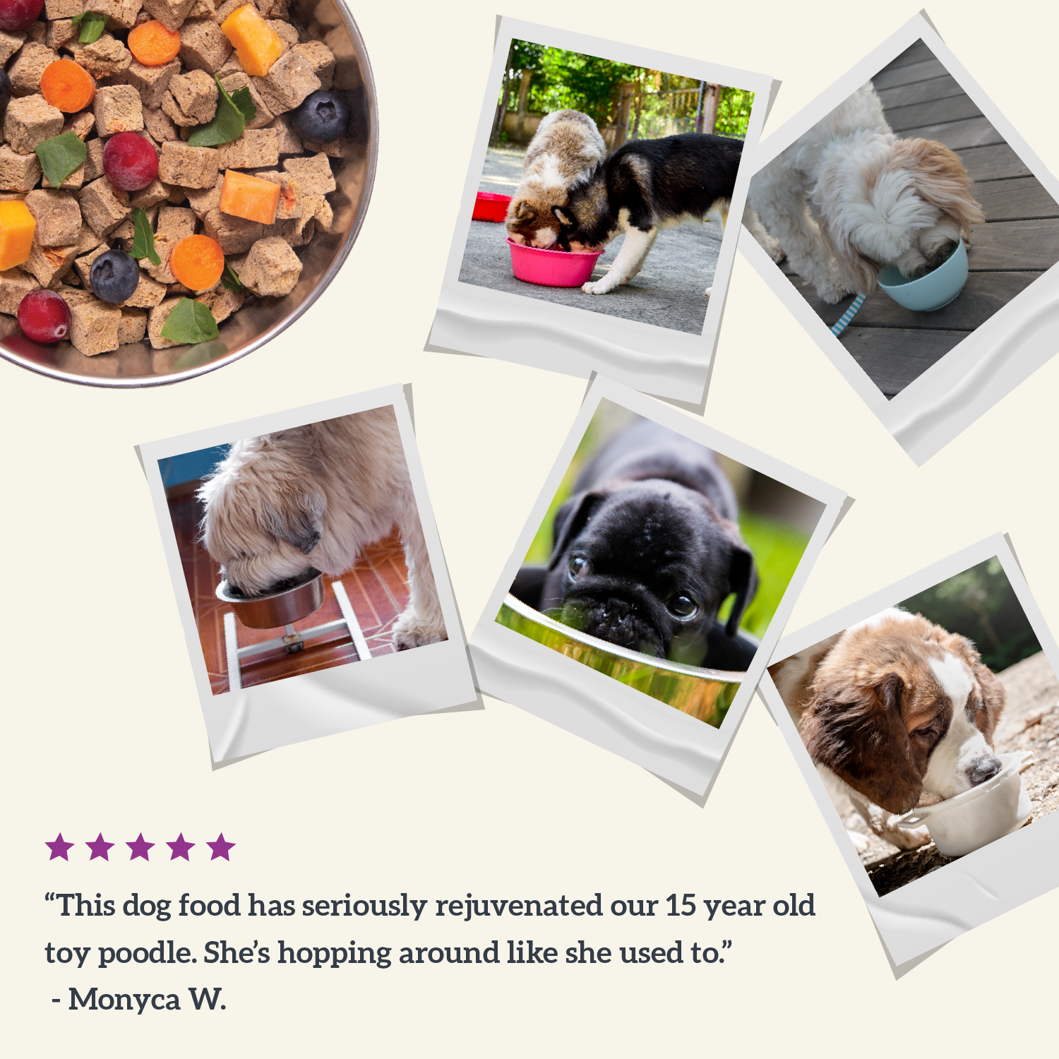 Health Extension Pet Care - Gently Air Dried Beef Recipe